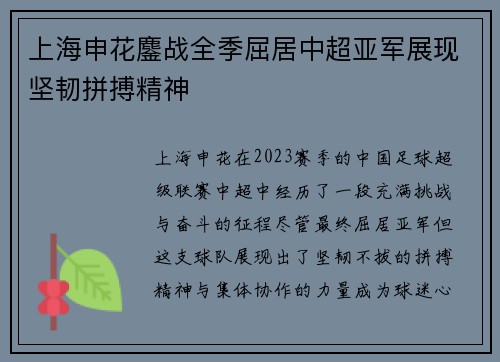 上海申花鏖战全季屈居中超亚军展现坚韧拼搏精神